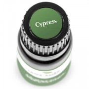 Cypress Essential Oil