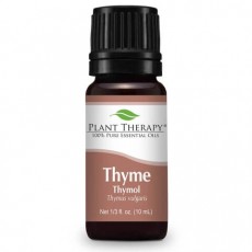 Thyme Thymol Essential Oil 