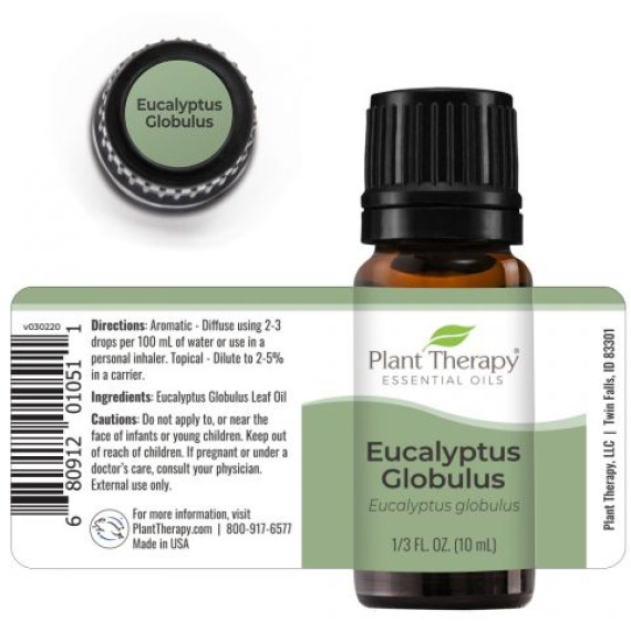 Eucalyptus Globulus Essential Oil 10ml