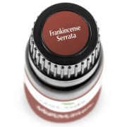 Frankincense Serrata Essential Oil 10ml