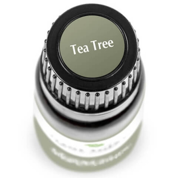 Tea Tree Essential Oil 10ml