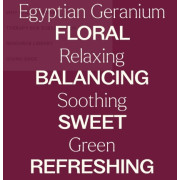 Egyptian Geranium Essential Oil 10ml